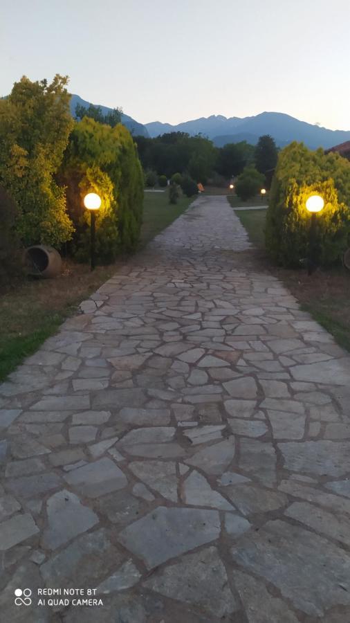Вилла Casa Consta Olympus Литохоро Экстерьер фото